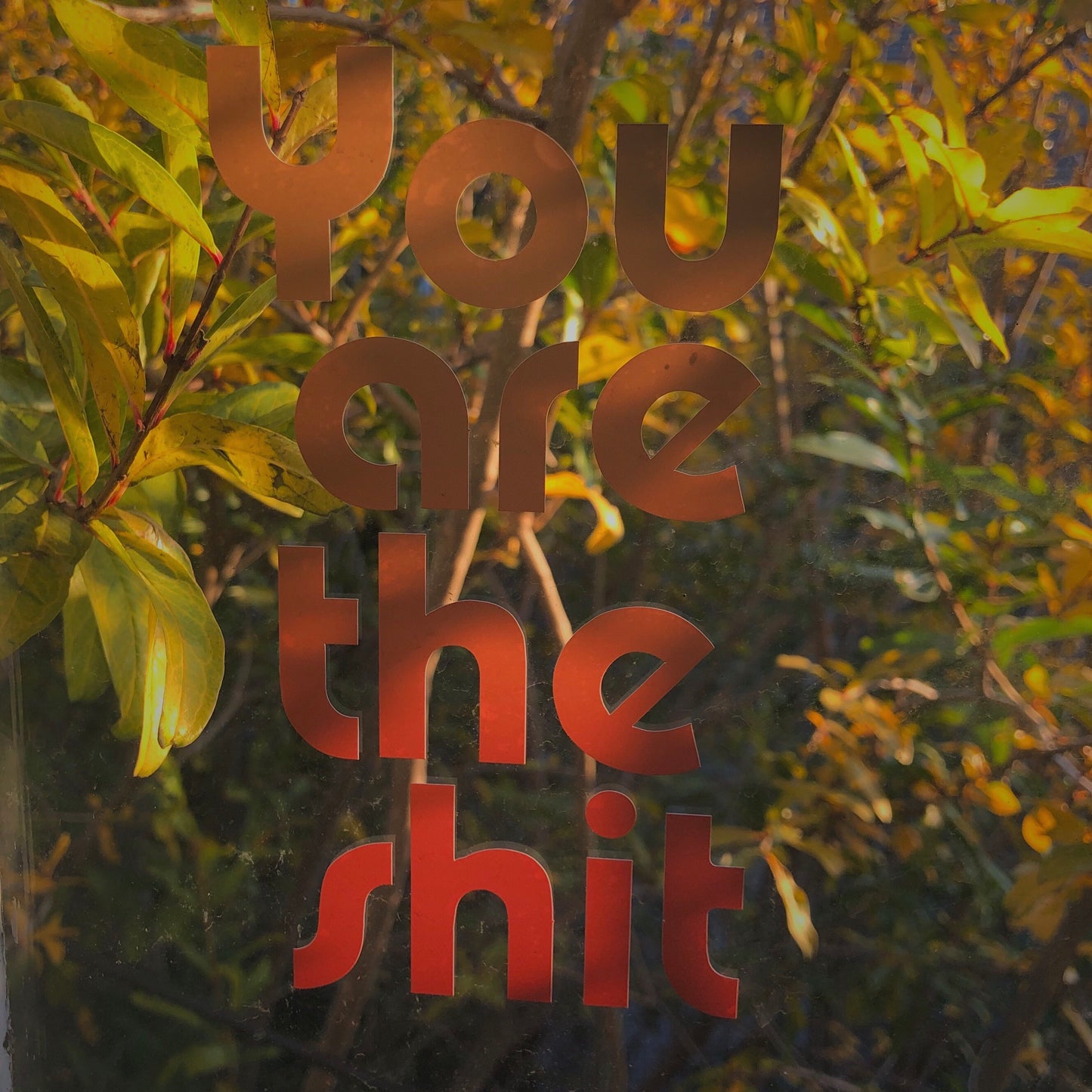 "You Are the Shit" decal sticker - Brownie Points for You