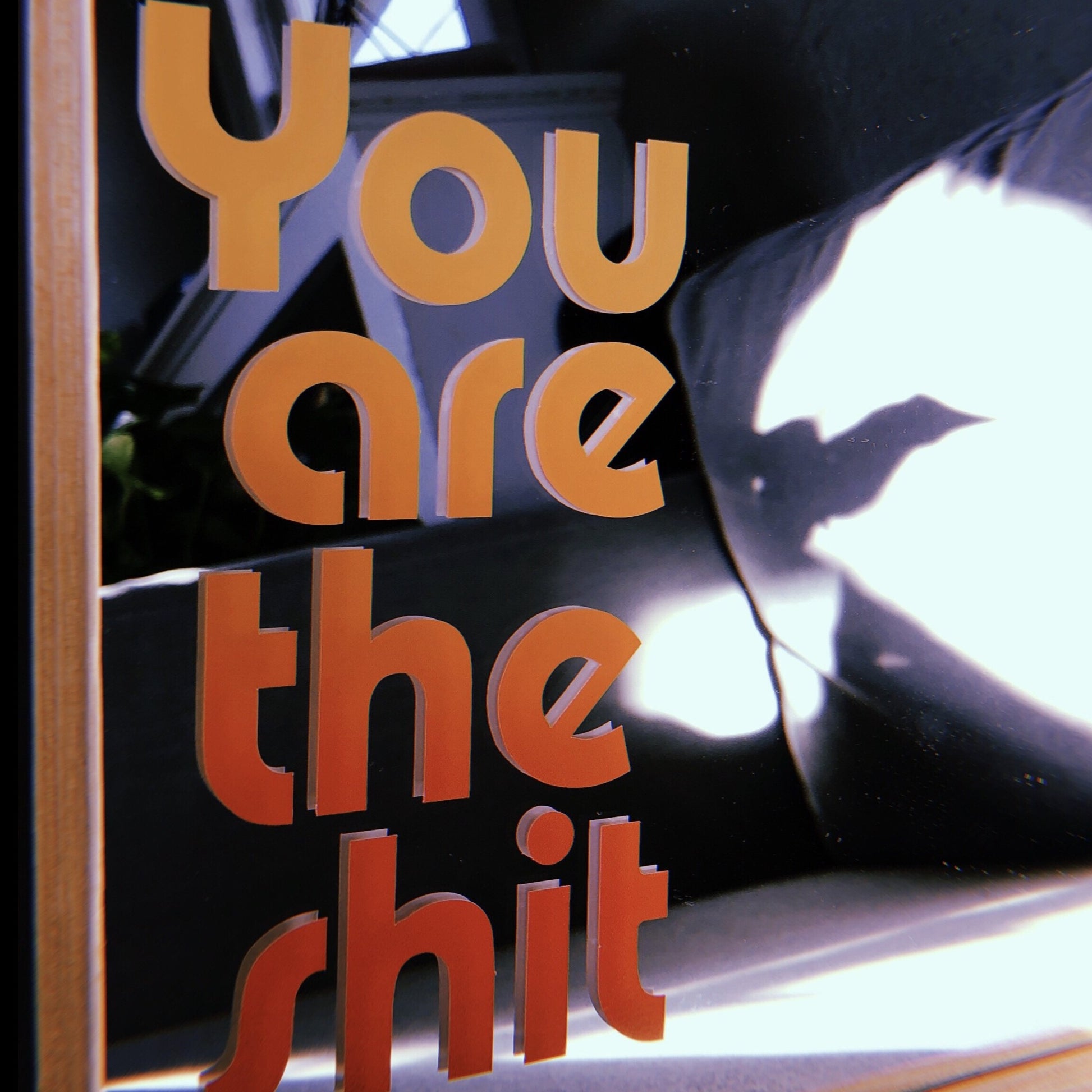 "You Are the Shit" decal sticker - Brownie Points for You